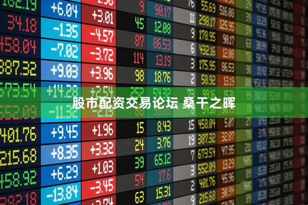 股市配资交易论坛 桑干之晖
