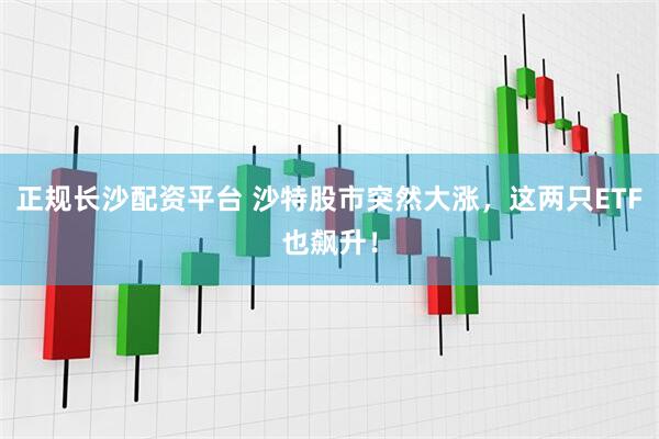 正规长沙配资平台 沙特股市突然大涨，这两只ETF也飙升！