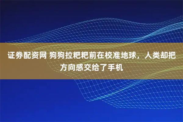 证劵配资网 狗狗拉粑粑前在校准地球，人类却把方向感交给了手机
